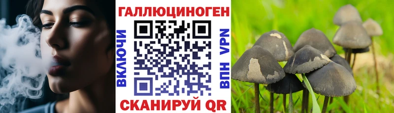 цены наркотик  kraken вход  Галлюциногенные грибы мицелий  Истра 