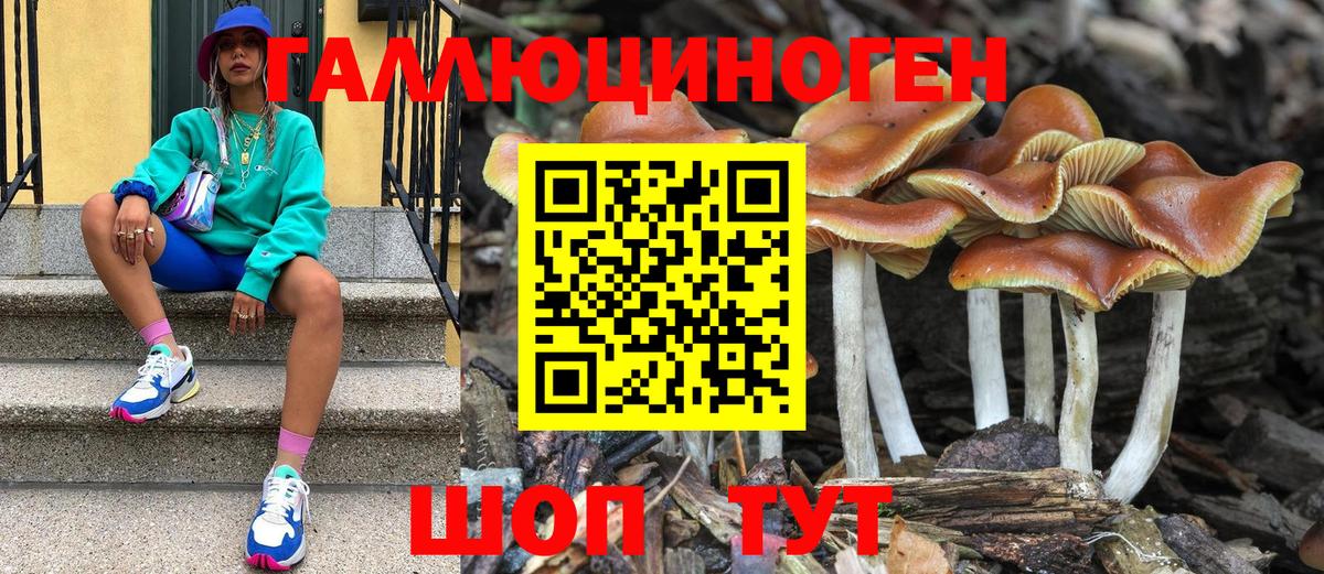Псилоцибиновые грибы Magic Shrooms Истра